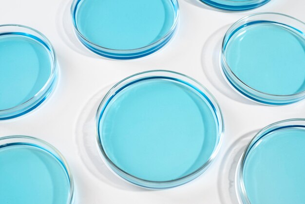 Jak wybrać odpowiednie podłoża mikrobiologiczne dla twojego laboratorium?